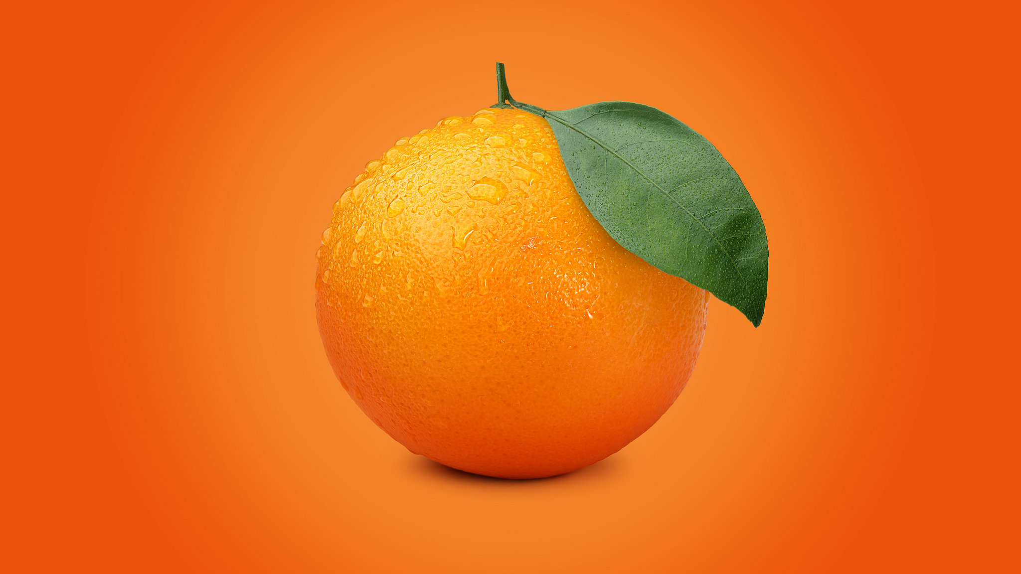 orange color logo design